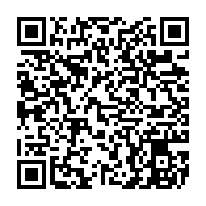 SnakeBiteAgent remote access trojan QR code