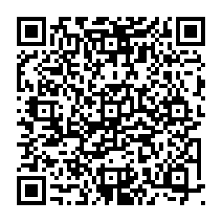 Nep Sol Incinerator Token Burn platform QR code