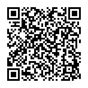 SoupDealer malware loader QR code