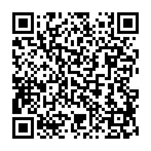 Taro virus QR code