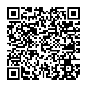 TELEPUZ-virus QR code