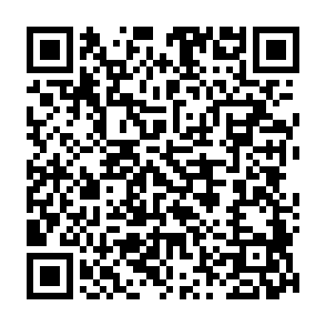Nep TON Guard platform QR code