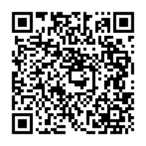 Vanta infostealer QR code