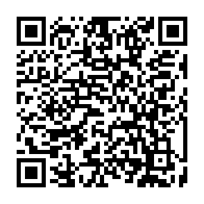 Vile virus QR code