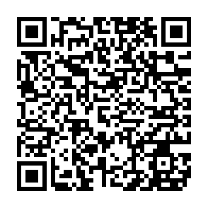 VoidStealer programma dat gegevens steelt QR code