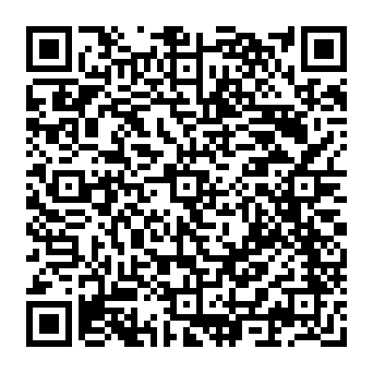 Your Domain Has Incorrect DNS Settings phishing-fraude QR code