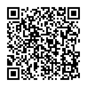 ZAWOOO-virus QR code