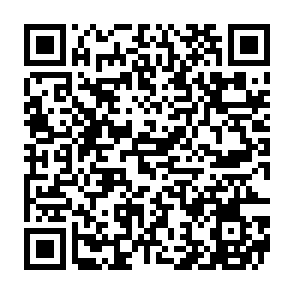 ZuRu achterdeur QR code