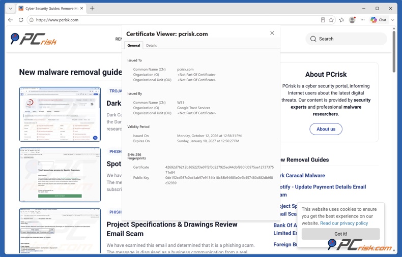 Details van het SSL-certificaat in Microsoft Edge