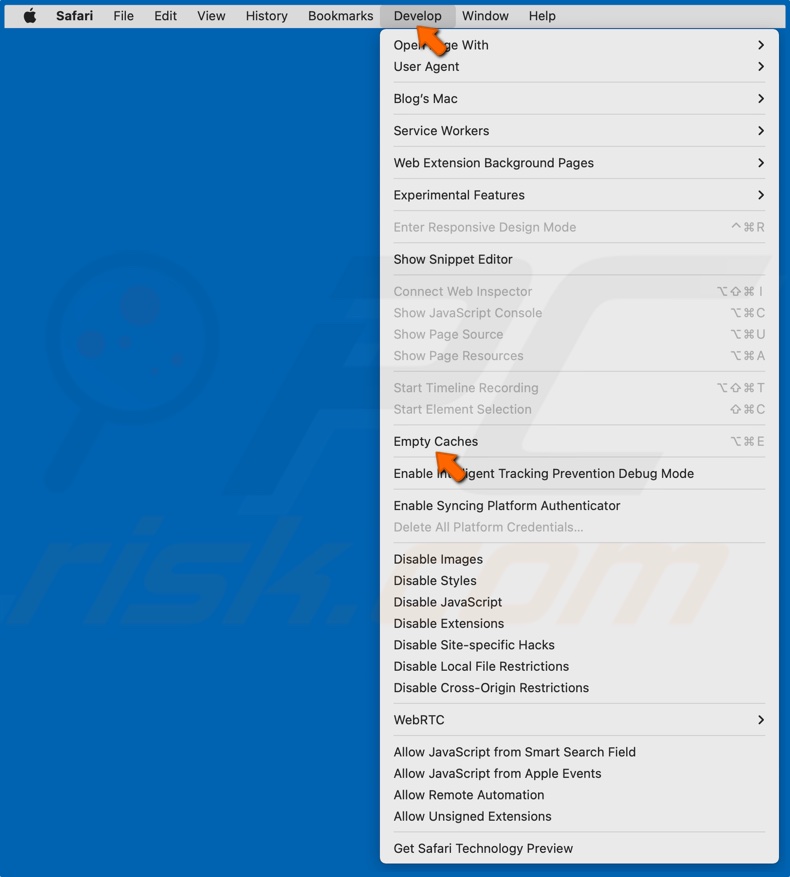 Open het menu Ontwikkelen en klik op Caches legen