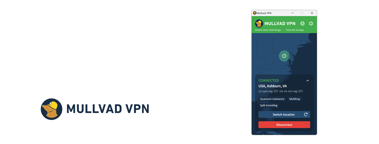 Mullvad top VPN koptekst