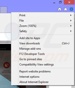 Verwijder de iReview app uit Internet Explorer stap 1