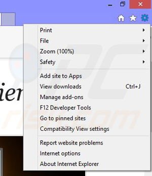 Verwijder de Theater-Max advertenties uit Internet Explorer stap 1