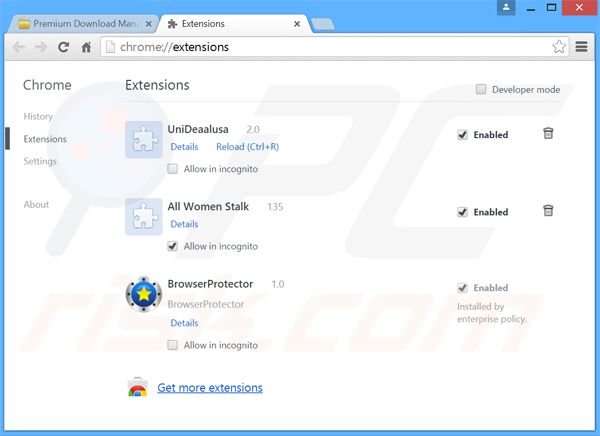 Verwijder de Premium Download Manager advertenties uit Google Chrome stap 2