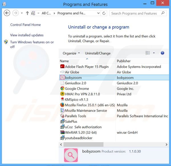 Boby Zoom adware verwijdering via het Controle Paneel