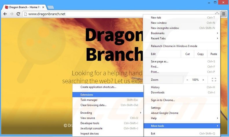 Removing Dragon Branch ads from Google Chrome step 1