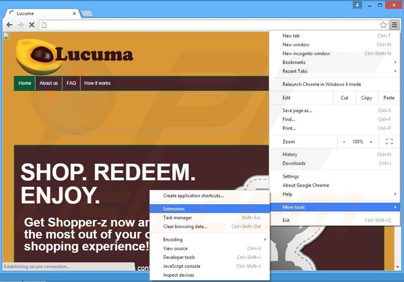 Verwijder de Shopper-z  advertenties uit Google Chrome stap 1