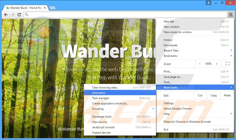 Verwijder de Wander Burst  advertenties uit Google Chrome stap 1