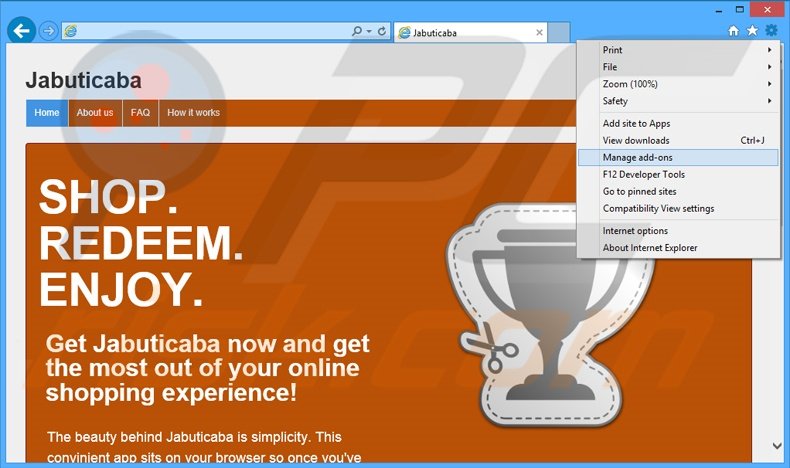 Verwijder de Jabuticaba advertenties uit Internet Explorer stap 1