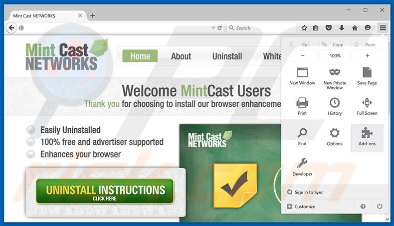 Verwijder de Mint Cast Networks advertenties uit Mozilla Firefox stap 1