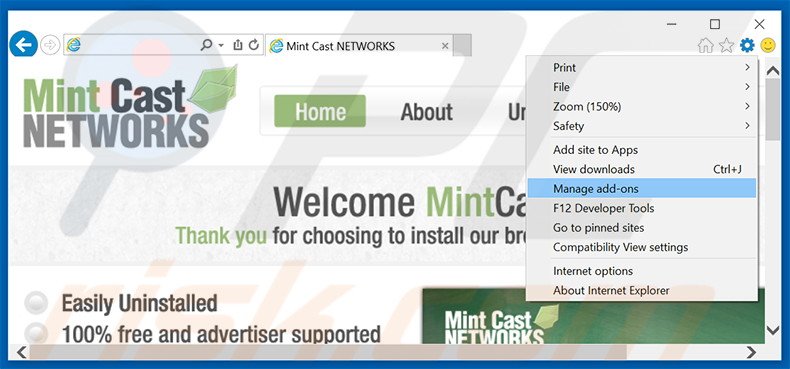 Verwijder de Mint Cast Networks advertenties uit Internet Explorer stap 1