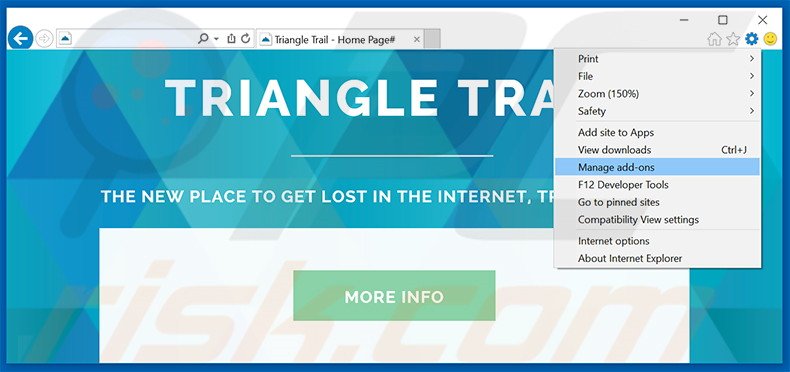 Verwijder  de Triangle Trail advertenties uit Internet Explorer stap 1