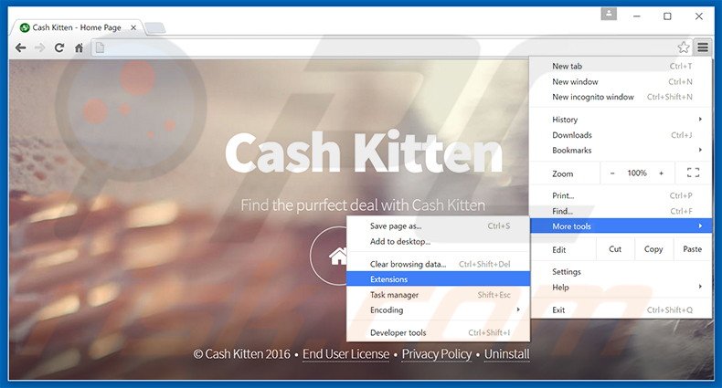 Removing Cash Kitten  ads from Google Chrome step 1