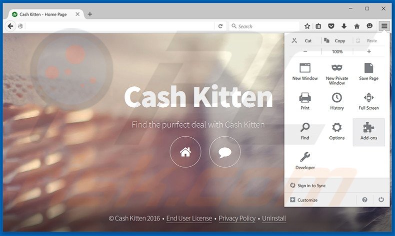 Verwijder de Cash Kitten advertenties uit Mozilla Firefox stap 1