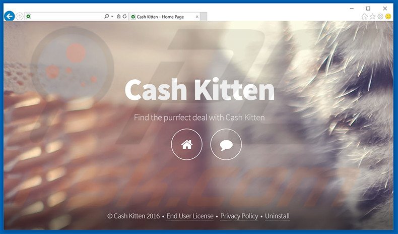 Cash Kitten adware