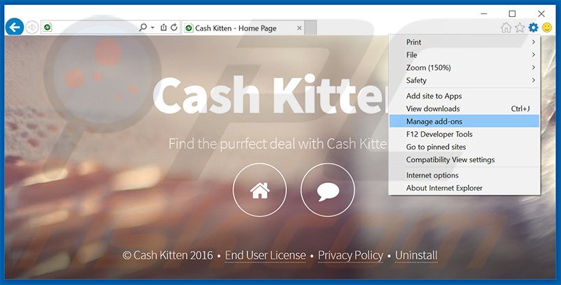 Verwijder de Cash Kitten advertenties uit Internet Explorer stap 1