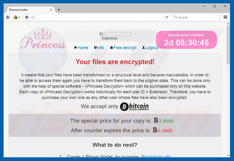 Princess ransomware website betalingspagina
