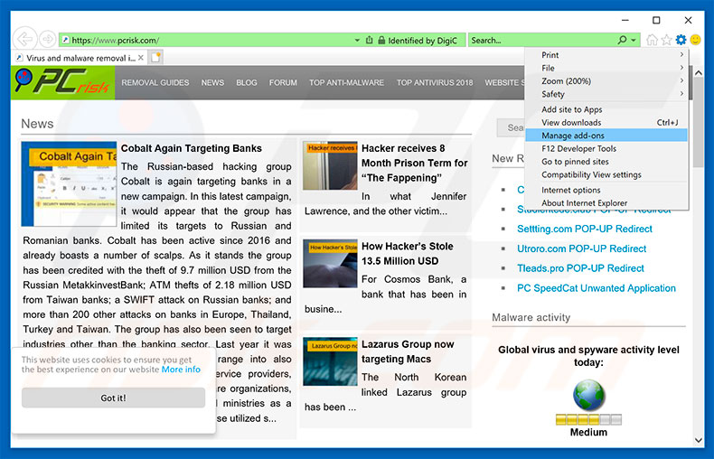 Verwijder Chameleon Explorer Pro ads uit Internet Explorer stap 1