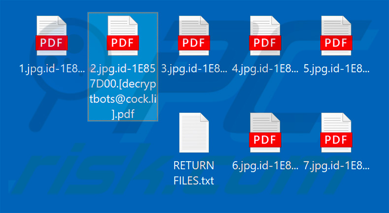 Bestanden versleuteld door .pdf