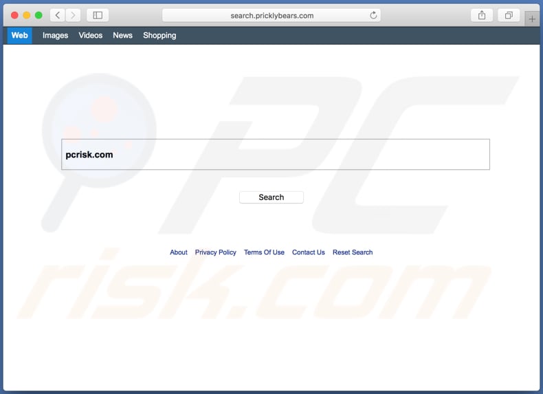 search.pricklybears.com browserkaper op een Mac computer