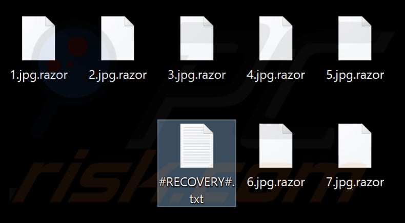 Bestanden versleuteld door de Razor ransomware (.razor extensie)