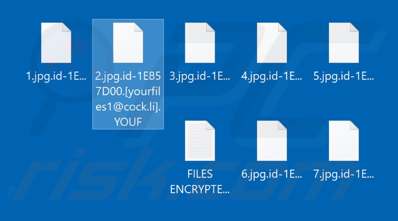 Files encrypted by YOUF ransomware (.YOUF extension)