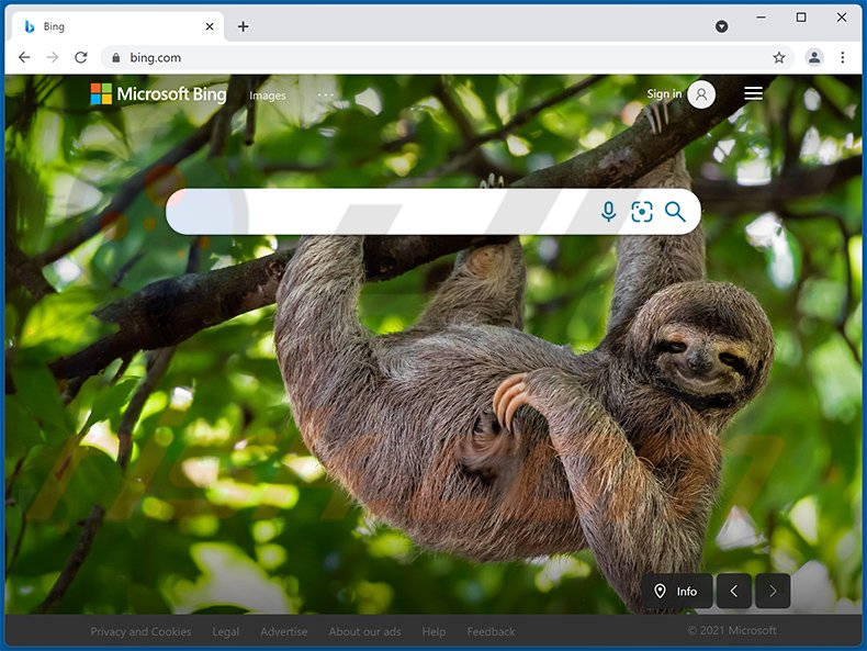 bing.com browser hijacker