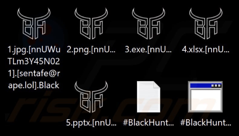 Bestanden versleuteld door Black Hunt ransomware (extensie .Black)