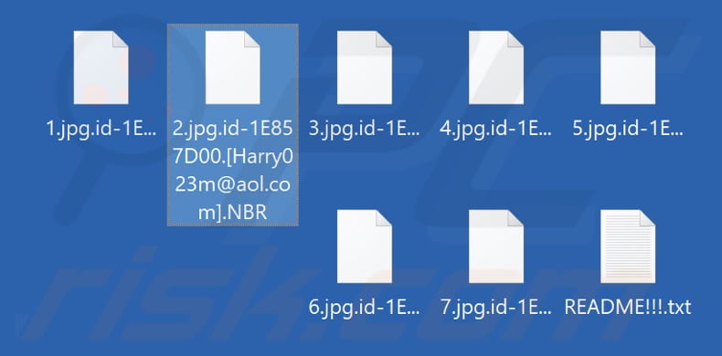 Bestanden versleuteld door NBR-ransomware (extensie .NBR)