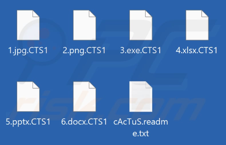 Bestanden versleuteld door Cactus ransomware (extensie .CTS1)