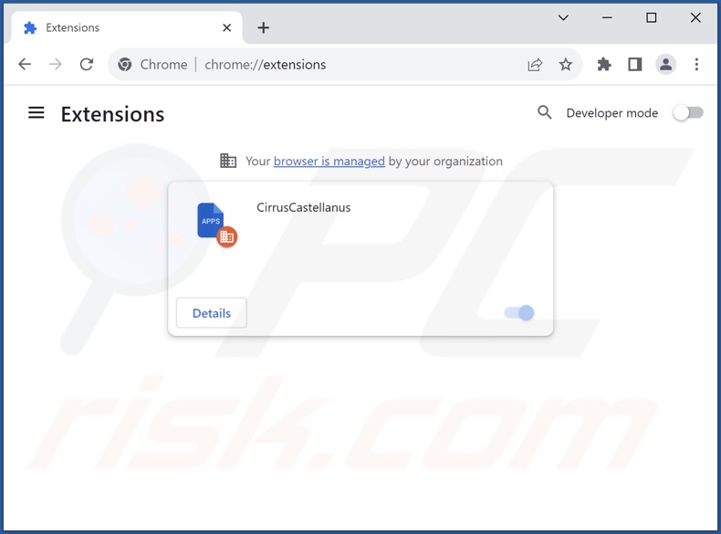 Stap voor stap het verwijderen van ongewenste advertenties uit Google Chrome 2