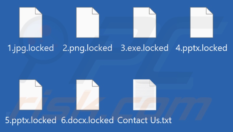 Files encrypted by Hunters International ransomware (.locked extension)