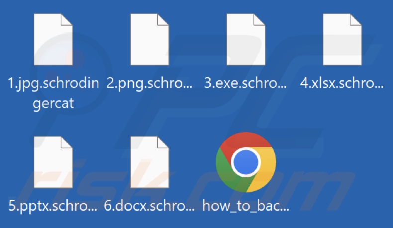 Bestanden versleuteld door de SchrodingerCat-ransomware (.schrodingercat-extensie)