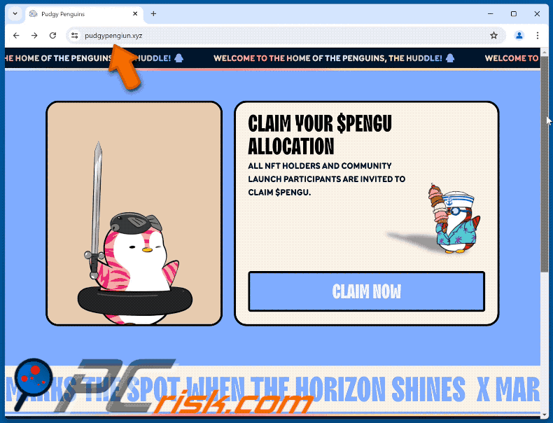 Verschijning van CLAIM YOUR $PENGU ALLOCATION zwendel