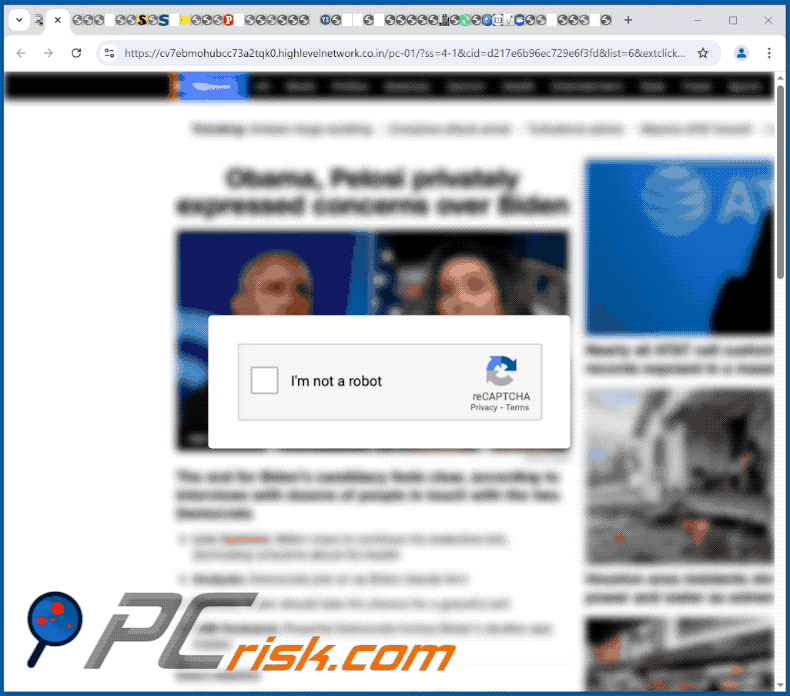 highlevelnetwork.co[.]in website uiterlijk (GIF)