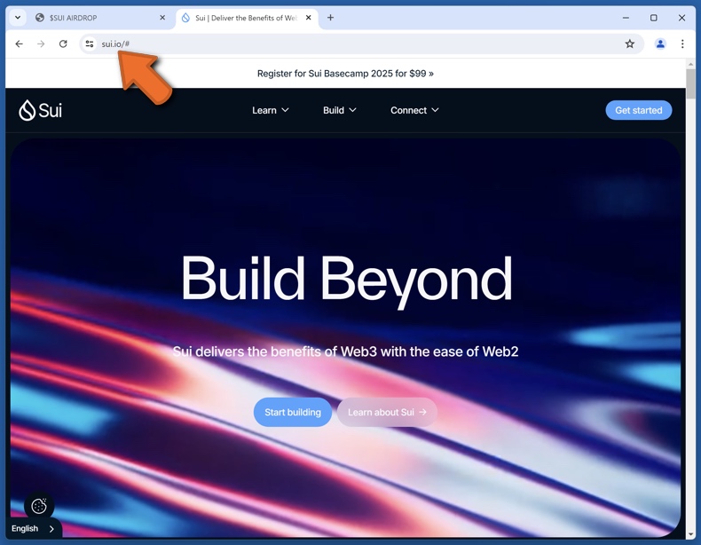 Uiterlijk van de echte Sui website (sui.io)