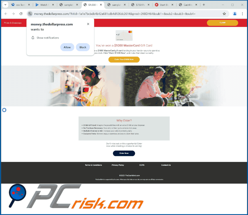 thedollarpress[.]com website optreden (GIF)