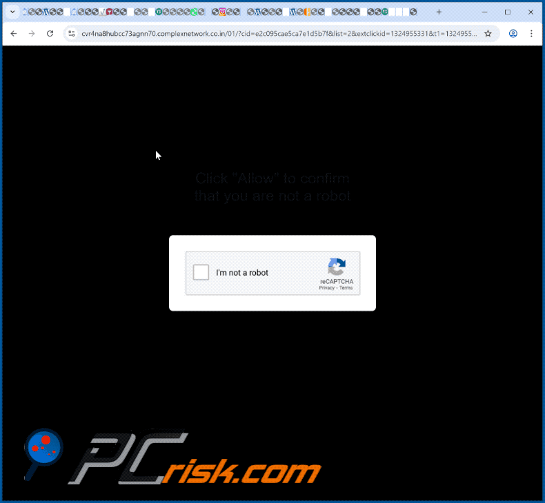 complexnetwork.co[.]in website uiterlijk (GIF)