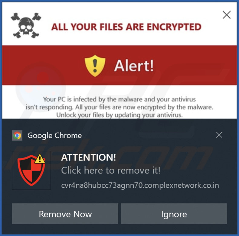 Advertentie geleverd door de complexnetwork.co[.]in webpagina