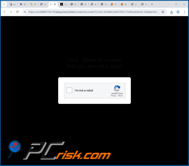 steadychainconnection.co[.]in website optreden (GIF)